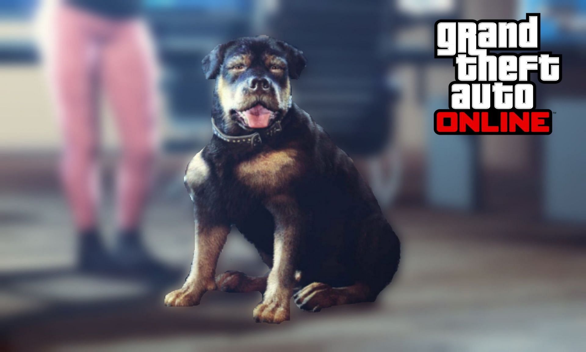 After several years away, Chop shows up again in GTA Online (Image via Sportskeeda)