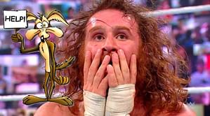 Sami Zayn is the 'Wile E. Coyote of WWE'