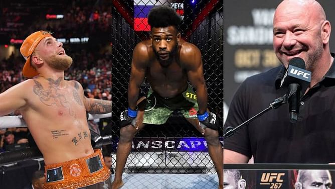 "Dana might actually beat him up" - Aljamain Sterling proposes boxing match between Jake Paul and Dana White
