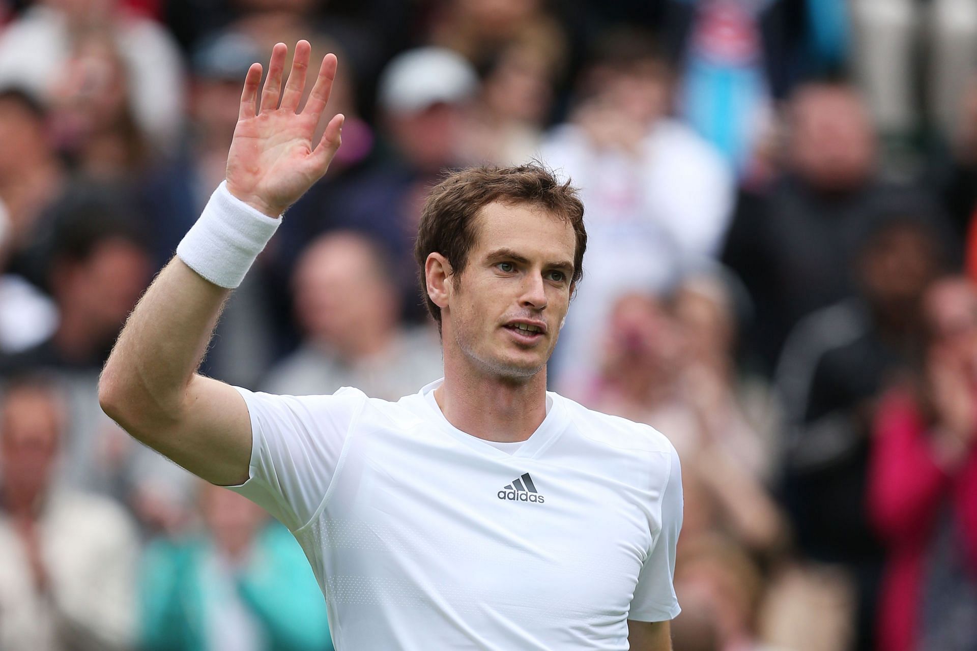 Andy Murray at the Wimbledon Championships