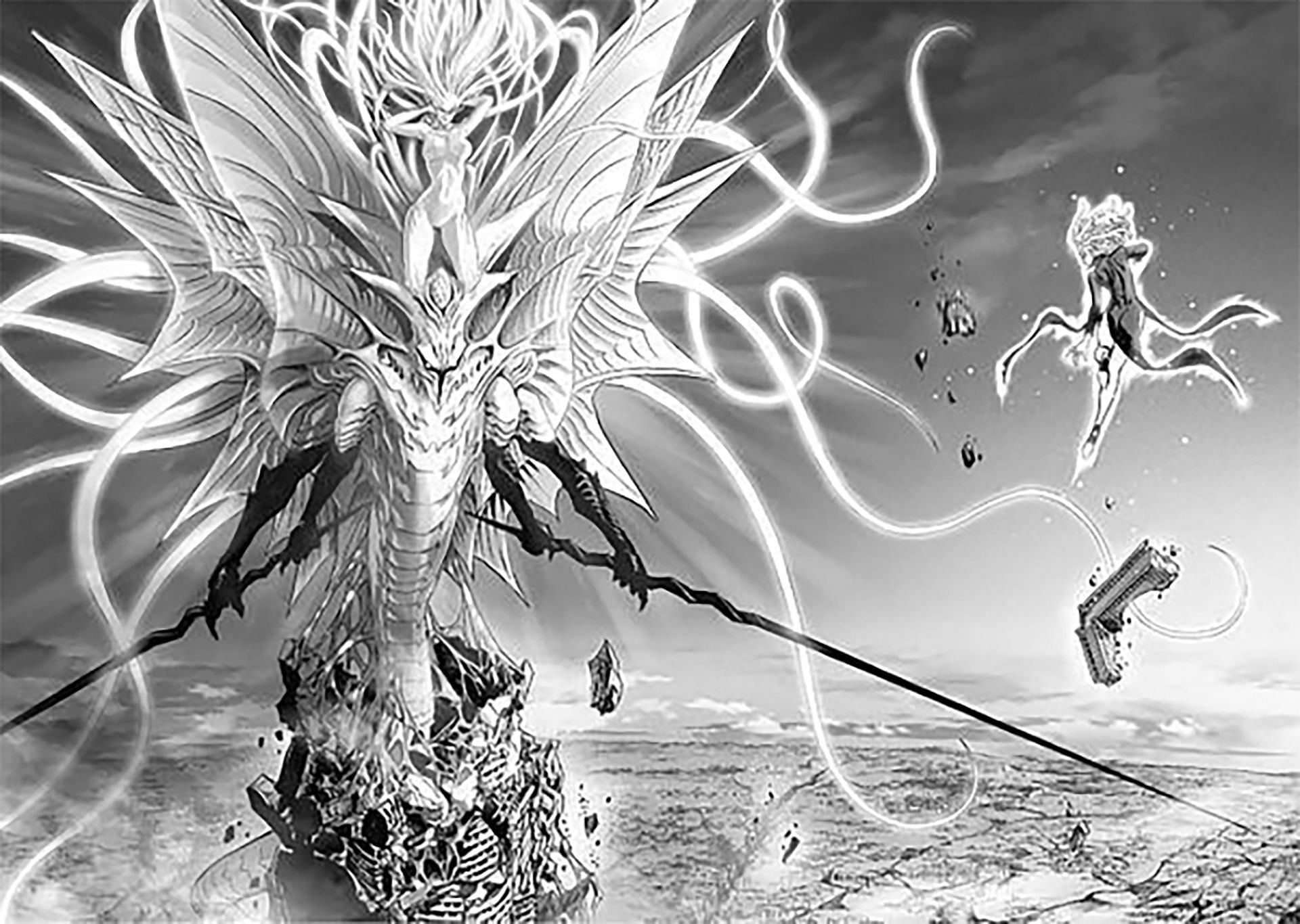 Saitama vs. Garou, One Punch-Man Wiki