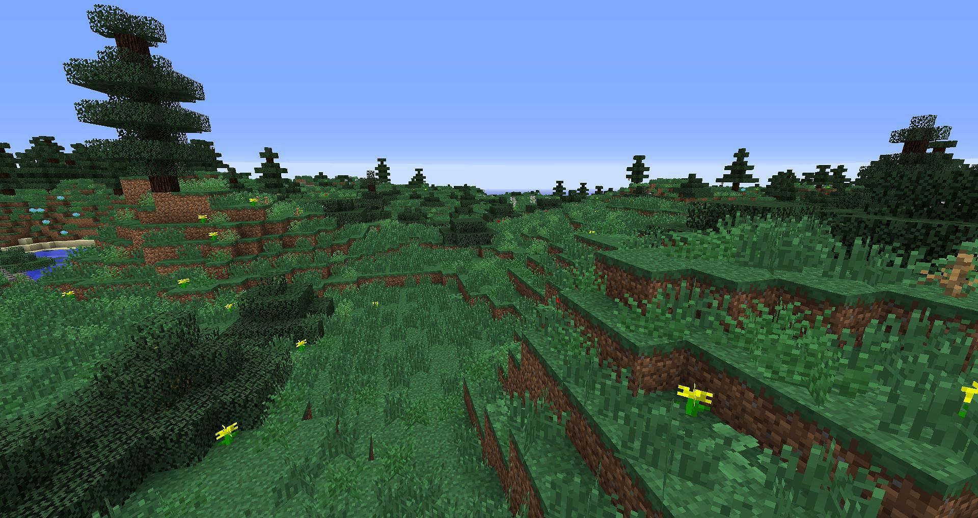 Meadow biome connected to Spruce forest (Image via Minecraft)