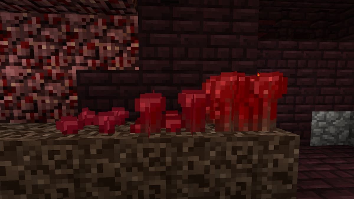 Nether wart can take a significant trip to obtain and is worth more than one emerald (Image via Mojang)