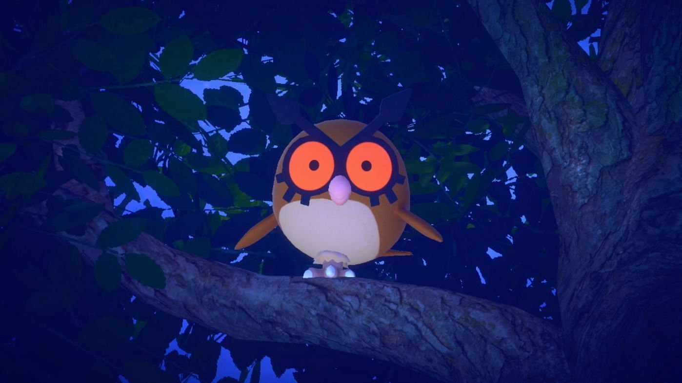 Hoothoot as it appears in New Pokemon Snap (Image via Bandai Namco)