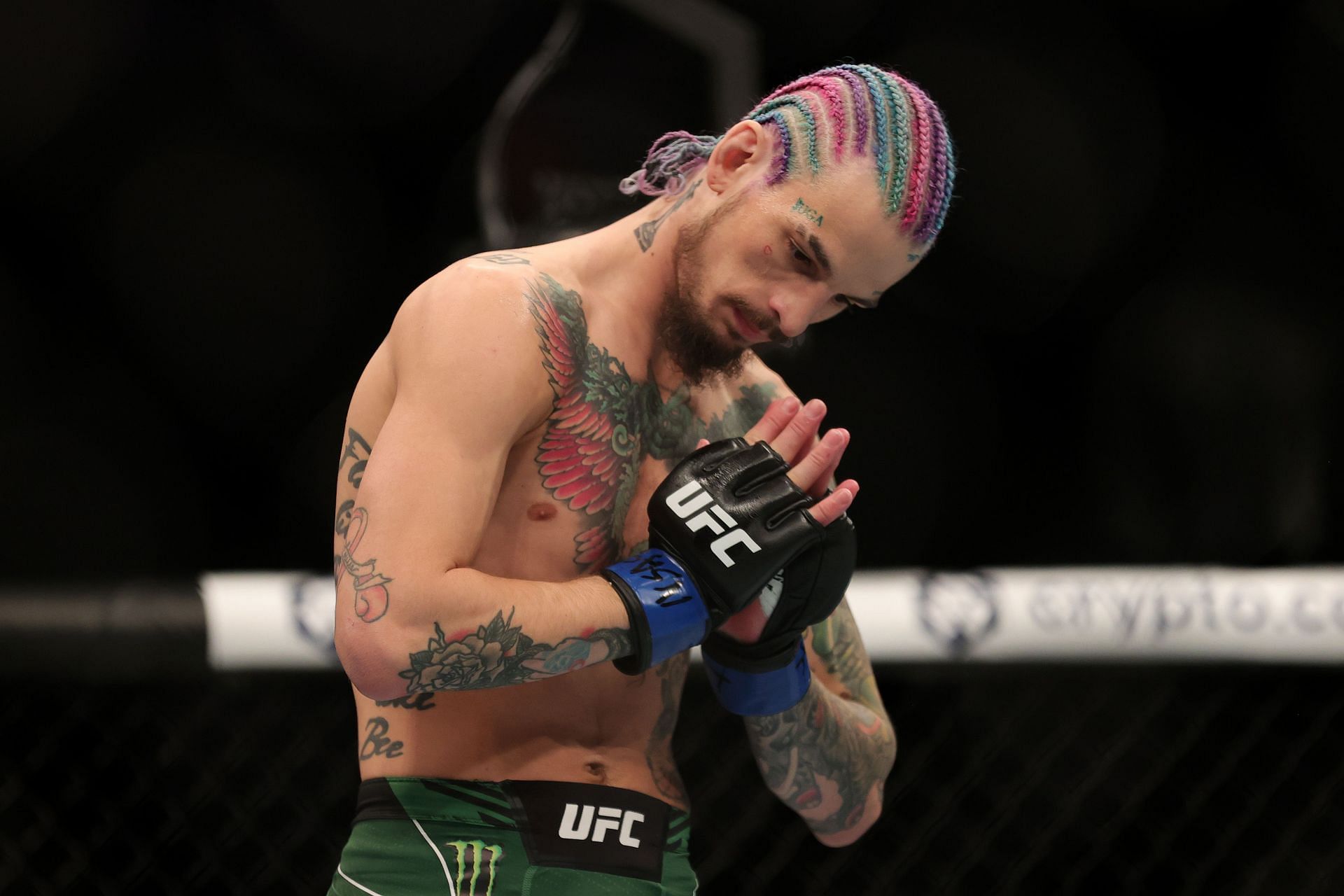 UFC News Sean O'Malley reveals he uses marijuana to unwind