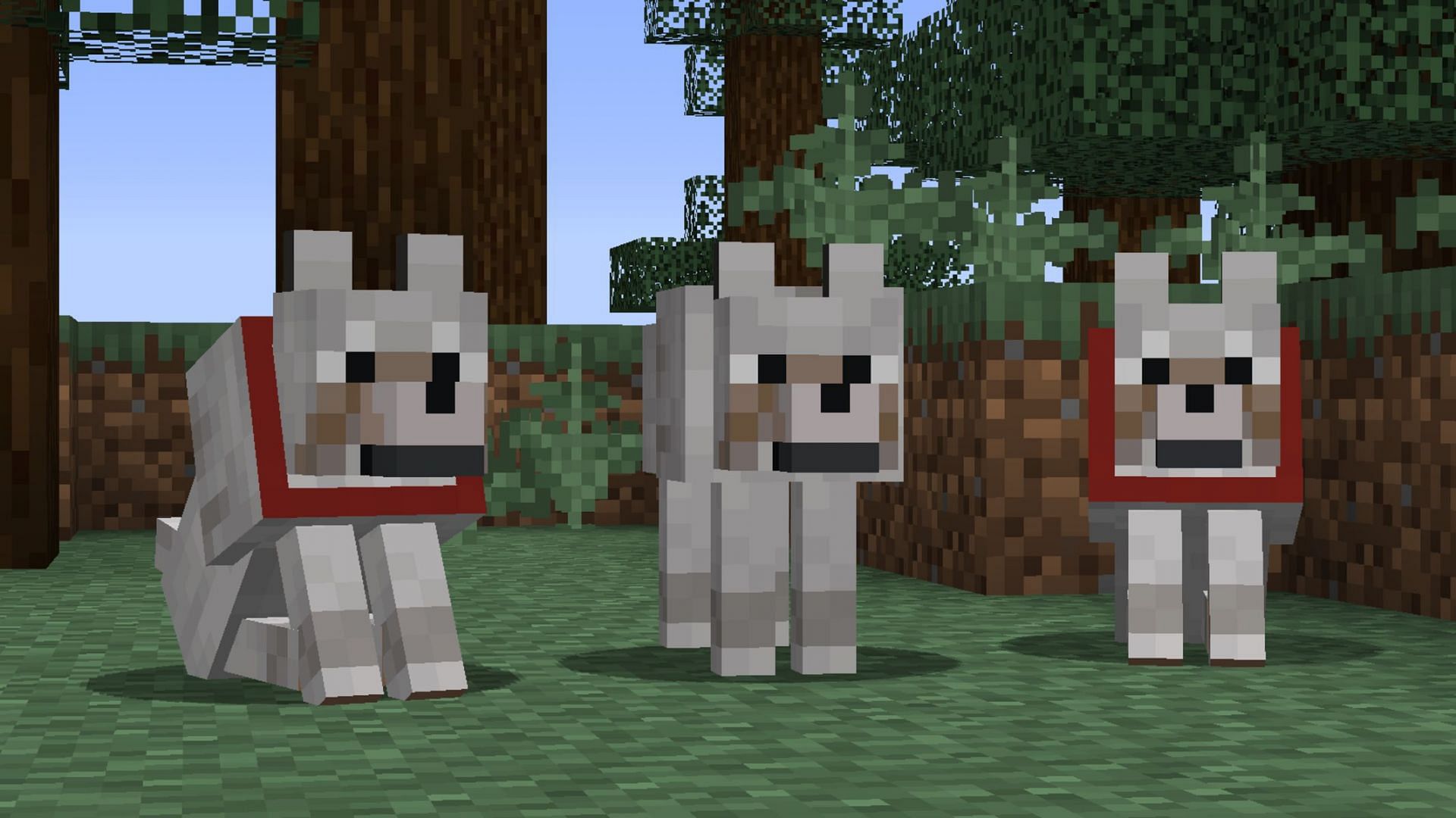 Wolves and many other mobs in Minecraft have had their spawning mechanics tweaked in version 1.18 (Image via Mojang)