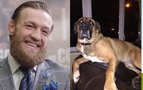 Conor McGregor (left); McGregor's late pet dog Hugo (right)