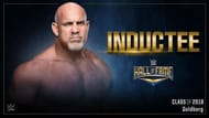 Bill Goldberg enters the Hall of Fame