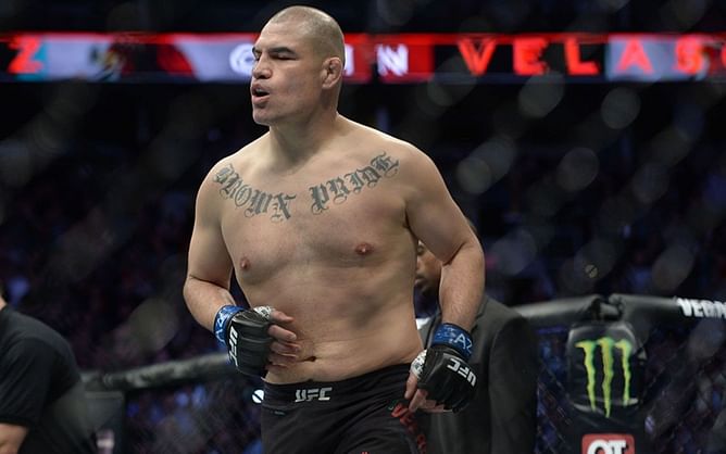 5 UFC heavyweights who were more skilled than their physique suggested