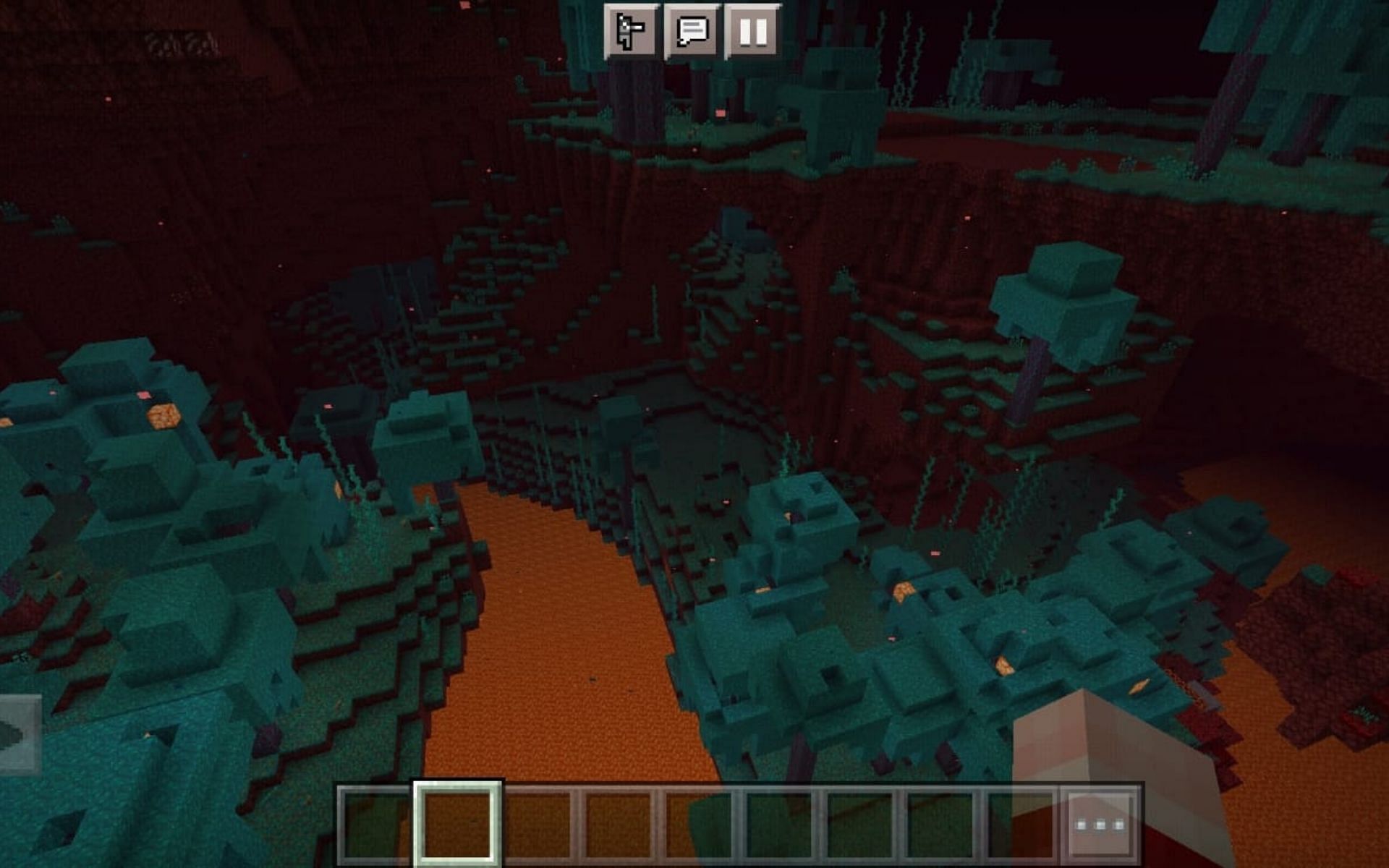 Warped Forest has the most flora in the Nether Realm (Image via Minecraft)