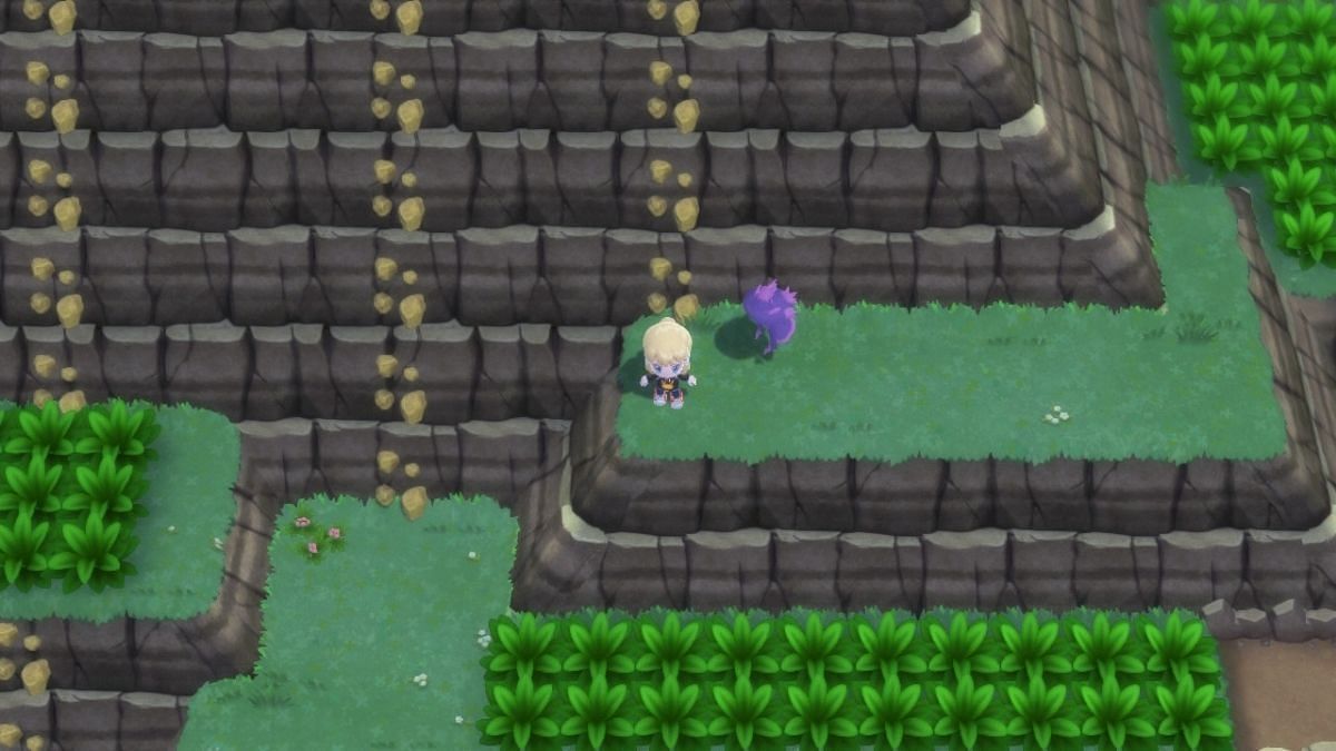 The Route 226 platform where you will find TM53 Energy Ball. (Image via ILCA)