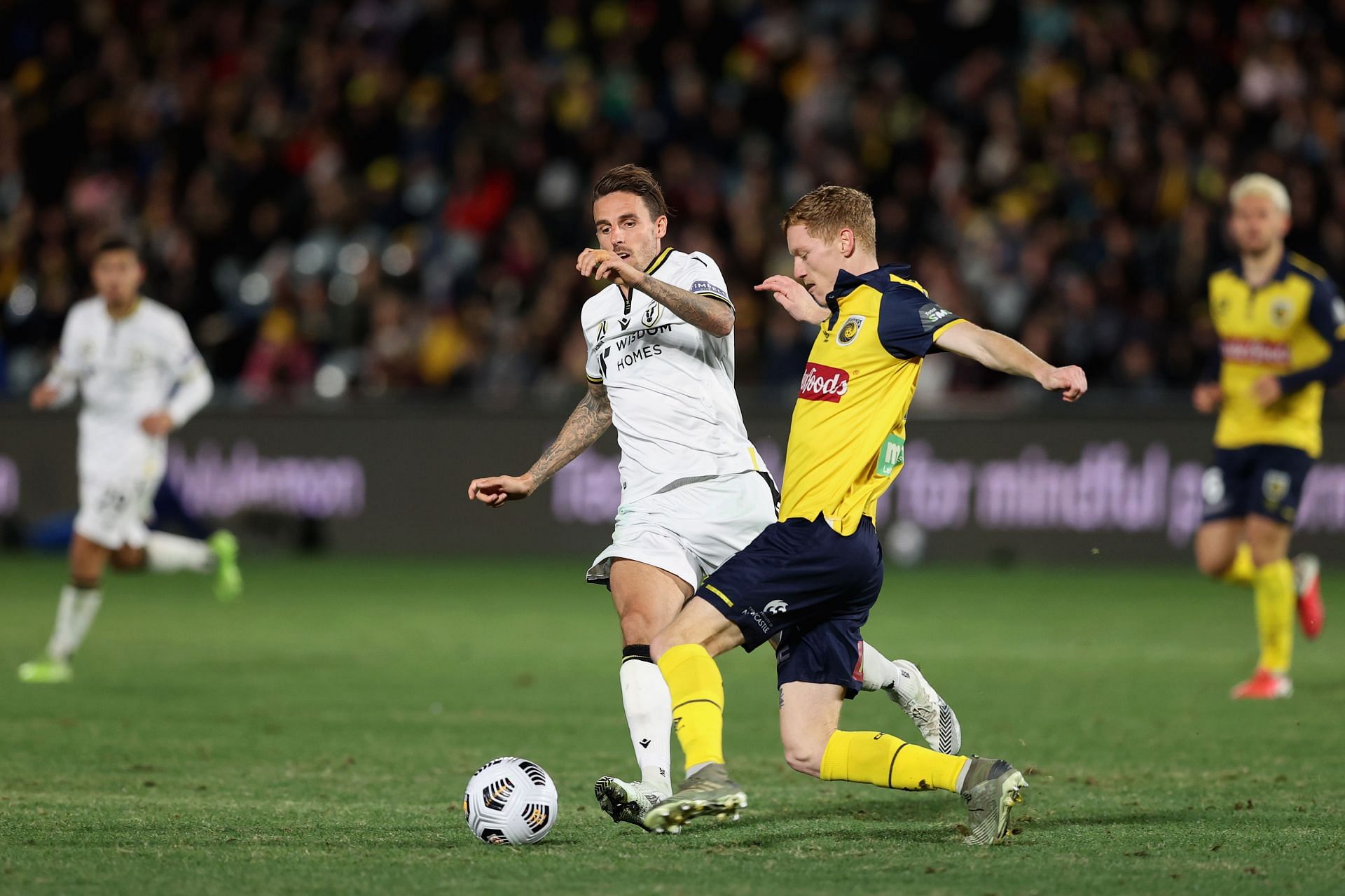 Central Coast Mariners take on Macarthur FC this weekend