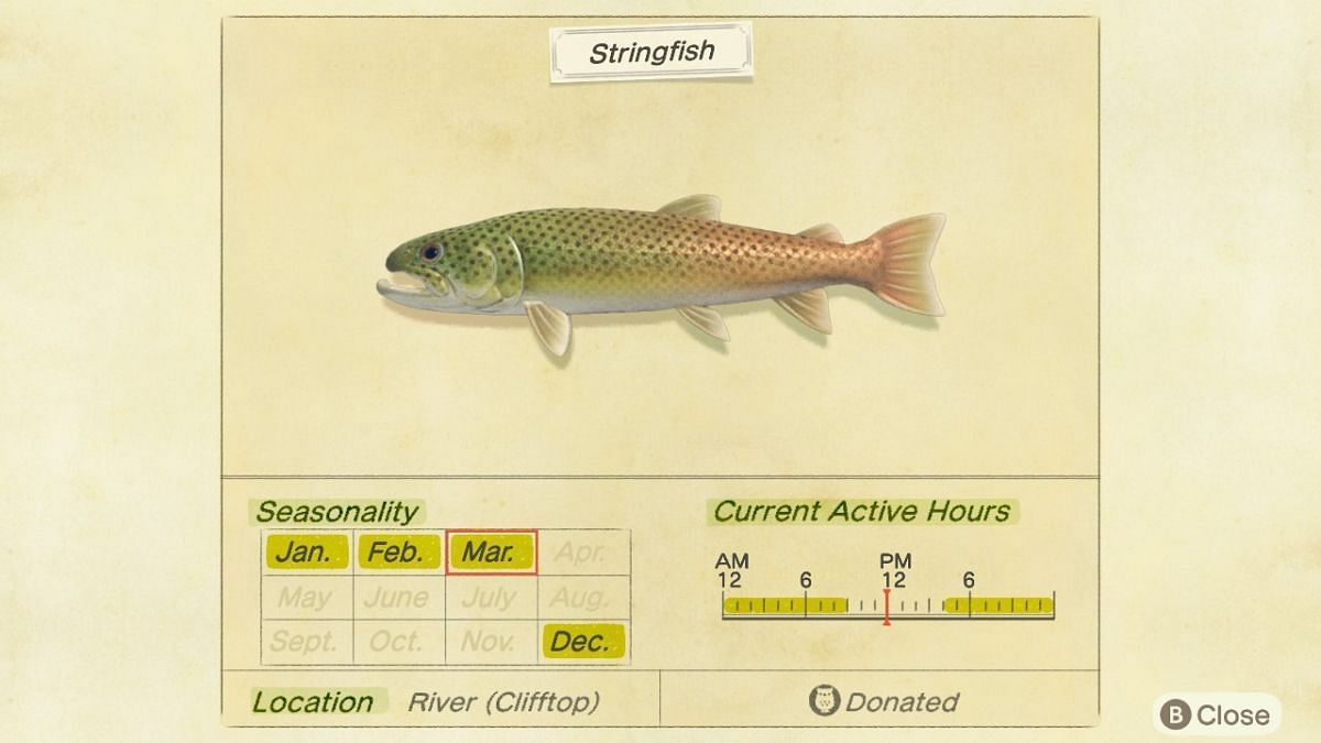 Stringfish will now be available in the Northern Hemisphere (Image via Nintendo)