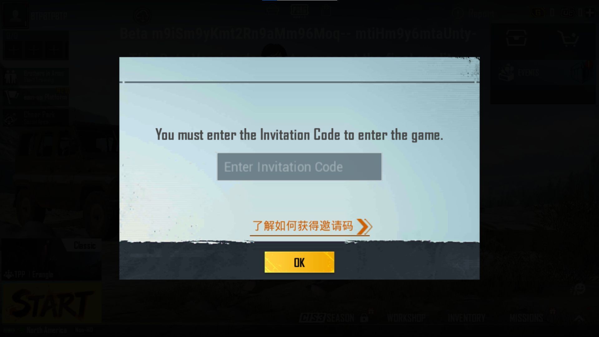 Enter the activation code (Image via PUBG Mobile)