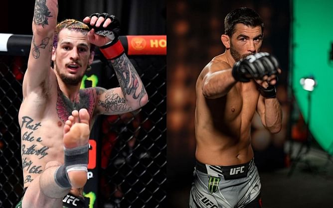 Ray Longo believes Sean O'Malley is a 'problem fight' for Dominick Cruz