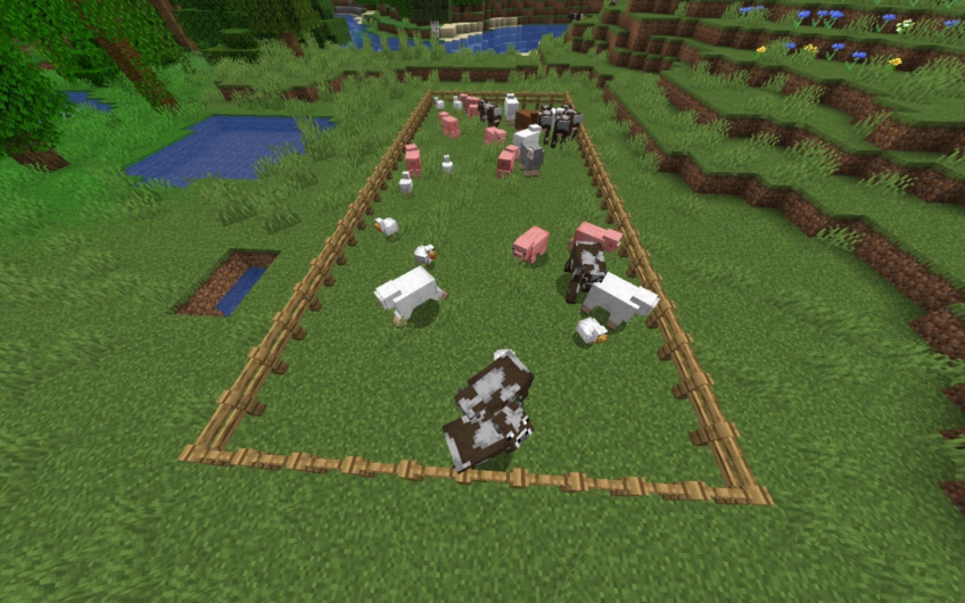 An animal farm with different animals inside (Image via Minecraft Wiki)