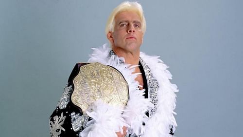 Ric Flair as World Champion in 1991