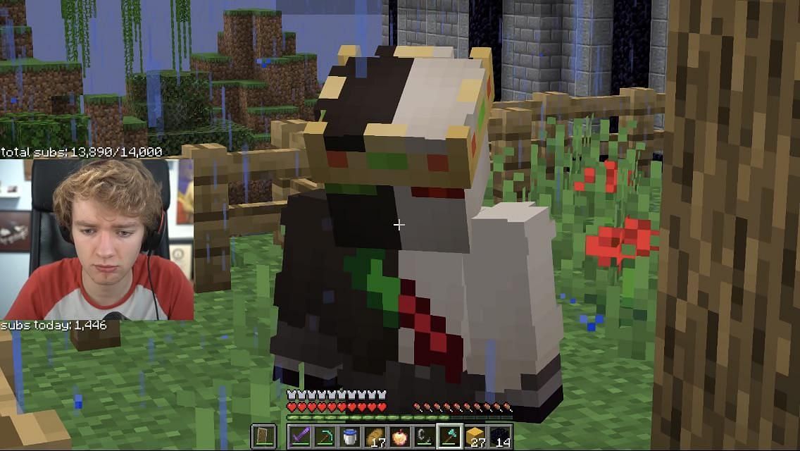 Minecraft Star Ranboo Talks About His New Lore On Dream Smp