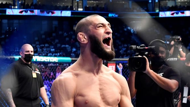 5 best undefeated fighters in the UFC