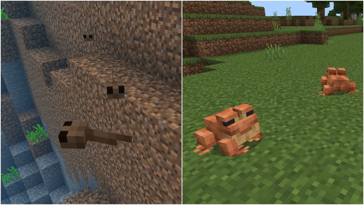 Minecraft Bedrock Beta Adds Frogs For The Wild Update 