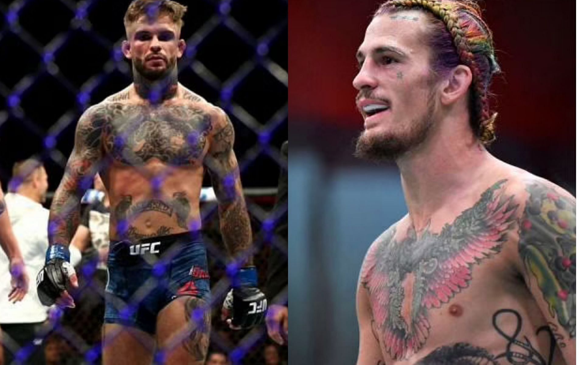 Cody Garbrandt (left) and Sean O&#039;Malley (right)