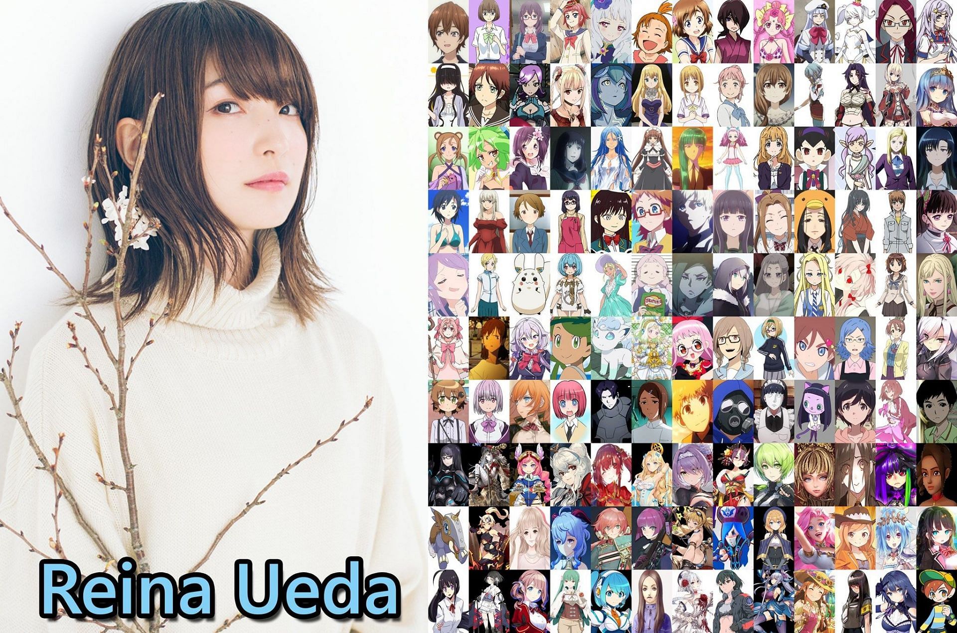 Reina&#039;s role in voice acting (Image via Facebook/Seiyuu)