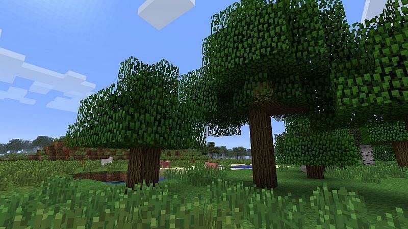 Oak trees are the most common in the game (Image via Minecraft)