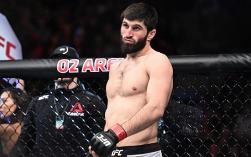 Could Magomed Ankalaev end 2022 with UFC gold around his waist?