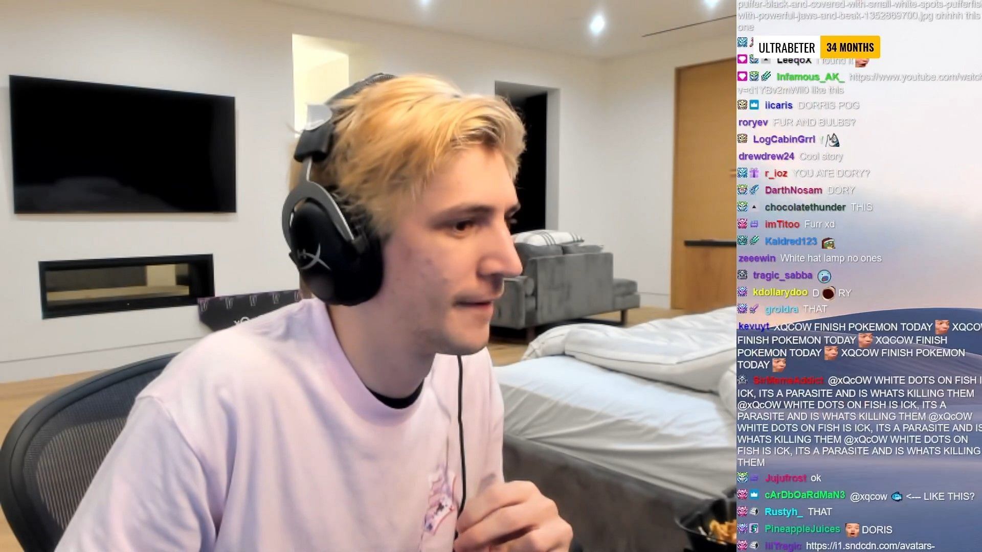 Xqc steam profile фото 91