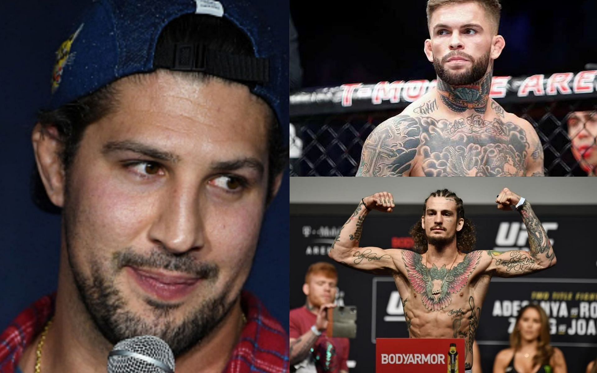 Brendan Schaub (left), Cody Garbrandt (top), and Sean O&#039;Malley (bottom)