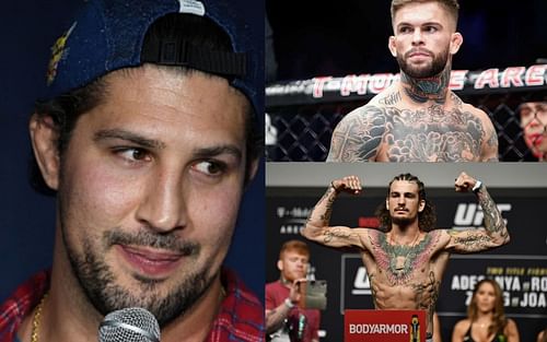 Brendan Schaub (left), Cody Garbrandt (top), and Sean O'Malley (bottom)