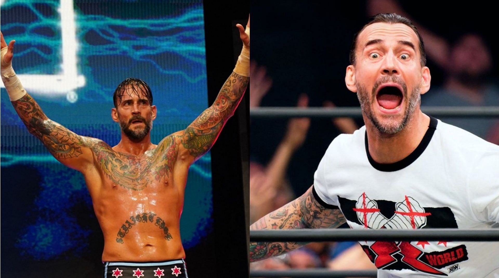 CM Punk is a former WWE Champion!