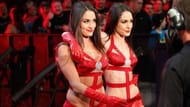 The Bella Twins in their early days