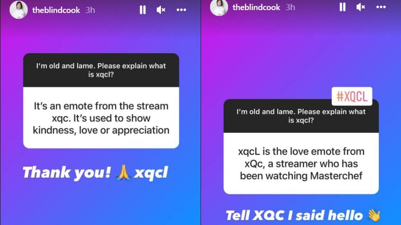 Fans responded to Christina Ha&#039;s question about xQc (Image via Instagram/Christina Ha)