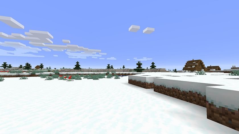 The Snowy Plains biome (Image via Minecraft)