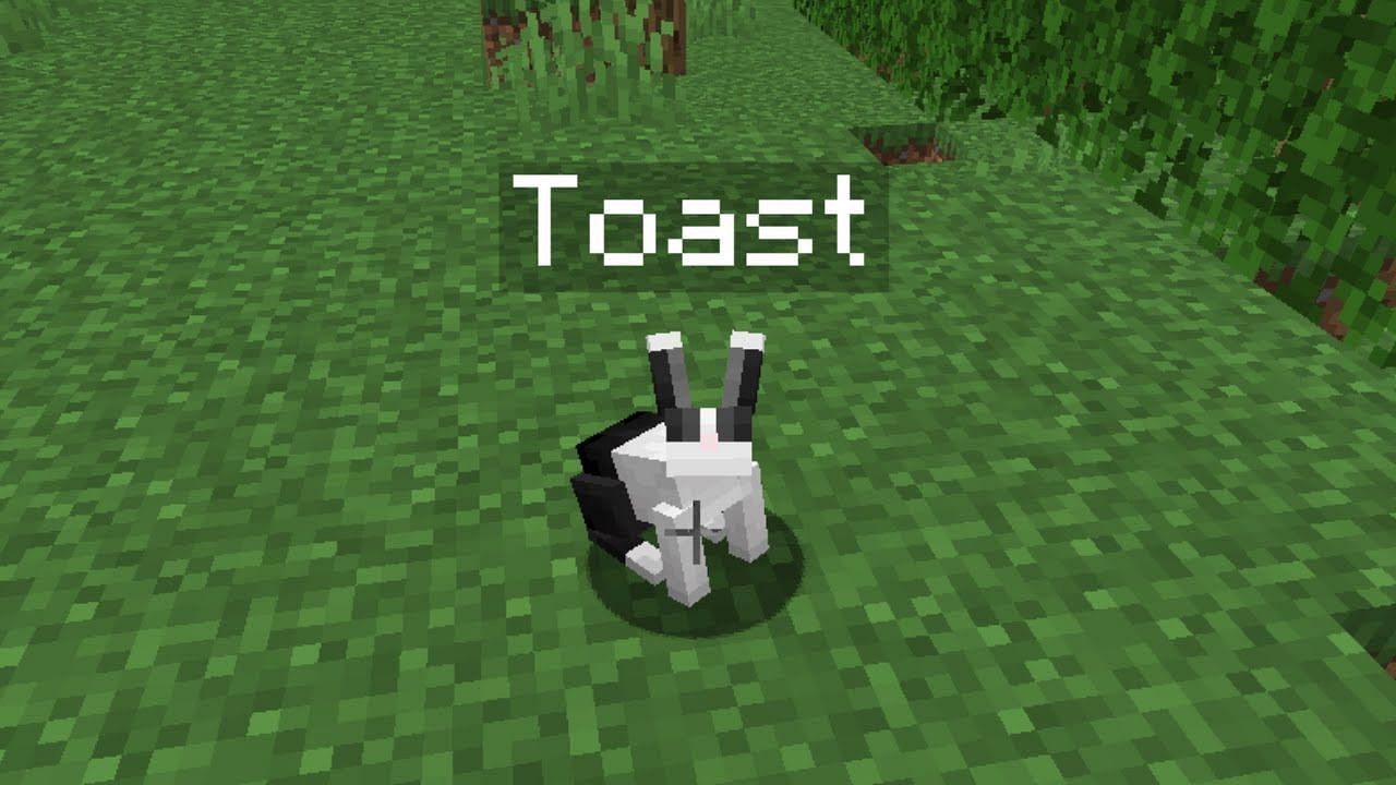 Toast the Bunny was a developer&#039;s girlfriend&#039;s rabbit (Image via Minecraft)