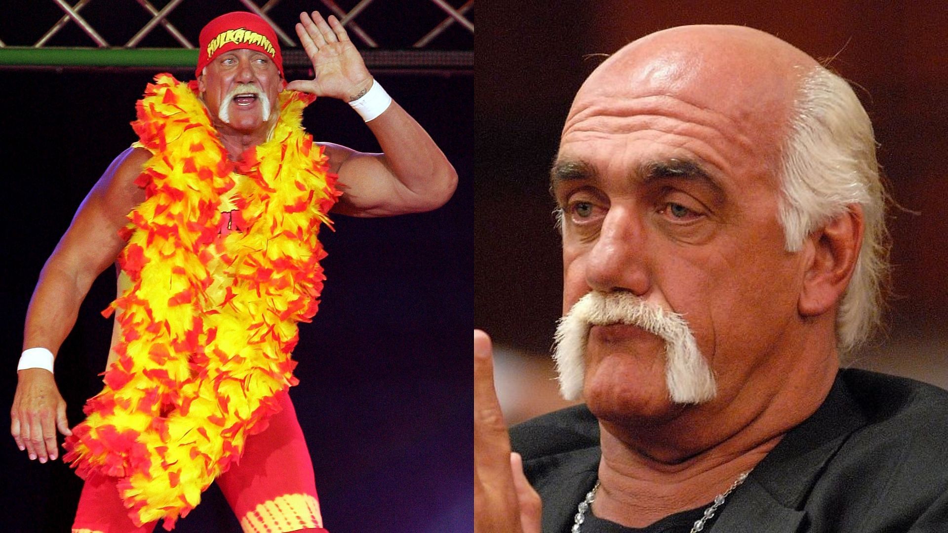 Hulk Hogan is still one of the most popular wrestling stars of all time.