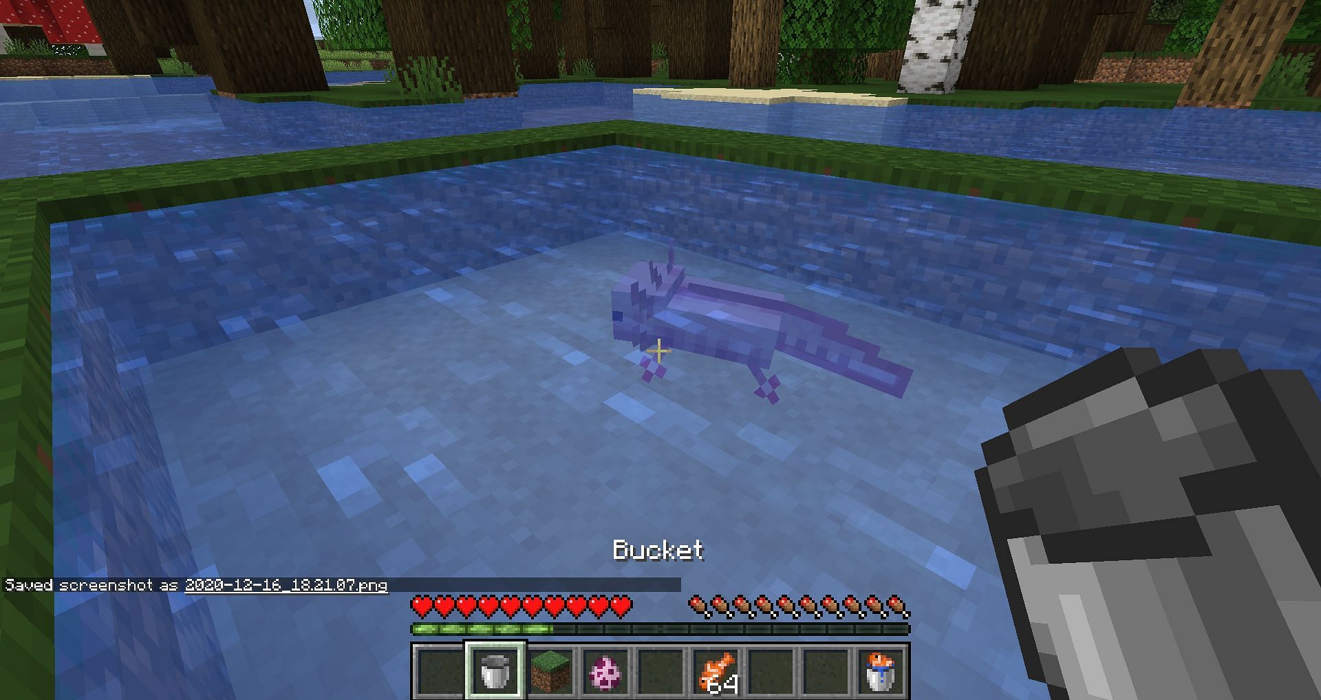 Axolotl can be captured with a bucket (Image via Minecraft)
