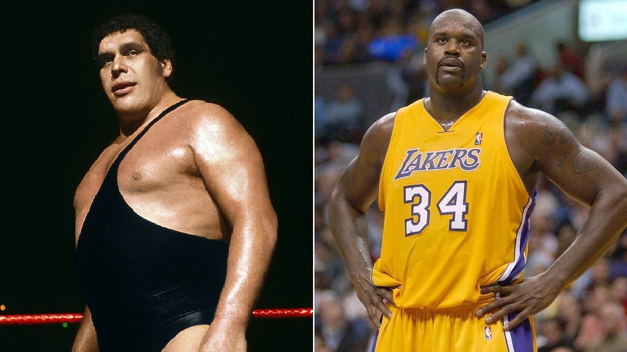 What would happen if Andre the Giant met Shaq in the squared circle?