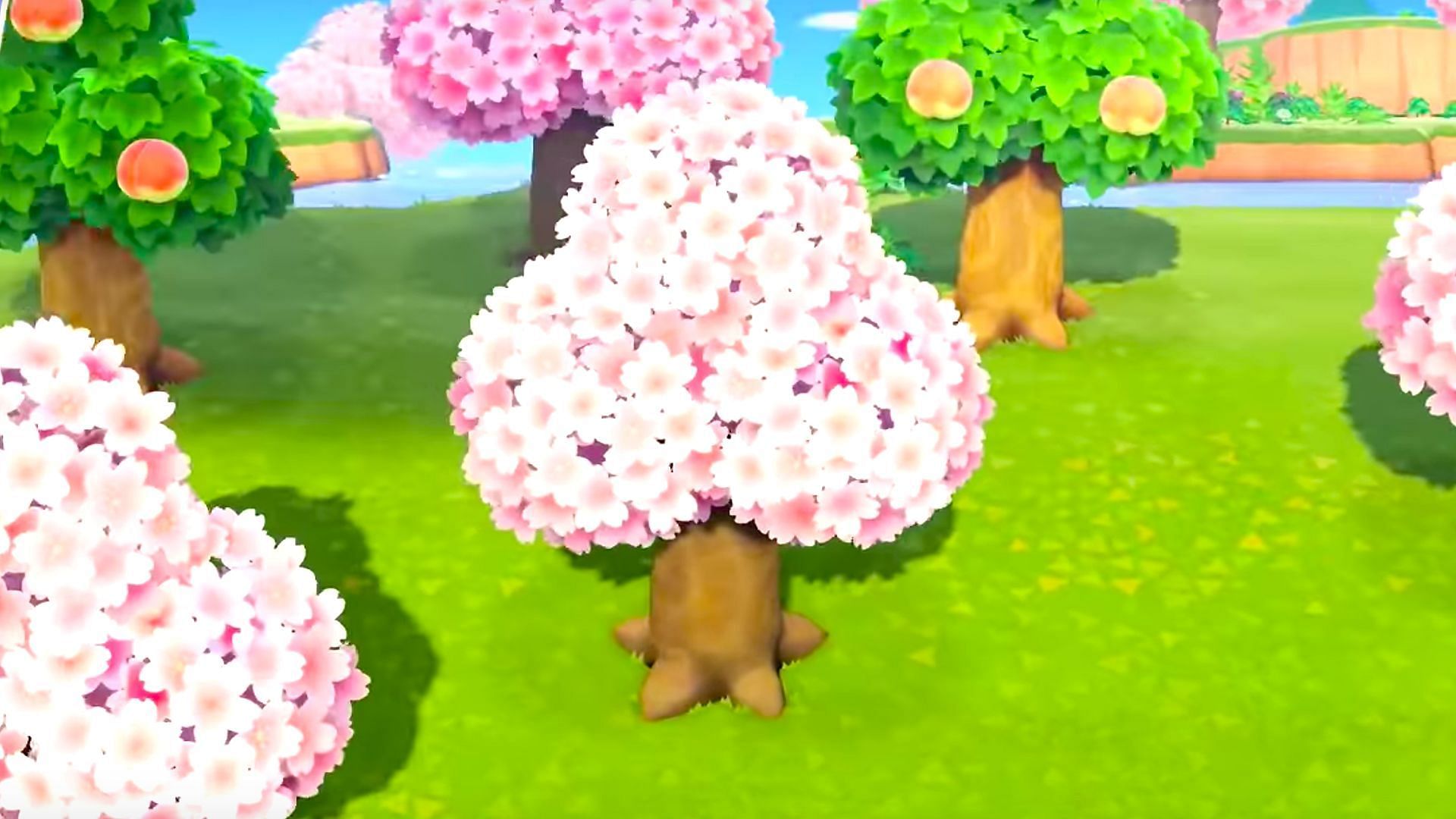 Cherry blossom season in Animal Crossing New Horizons Dates, features, items and more