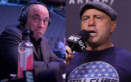 Combat sports personality Joe Rogan (left and right)