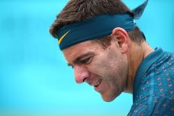 Daniel Orsanic feels it will be "complicated" for Juan Martin Del Potro to return to the top 10 in his comeback