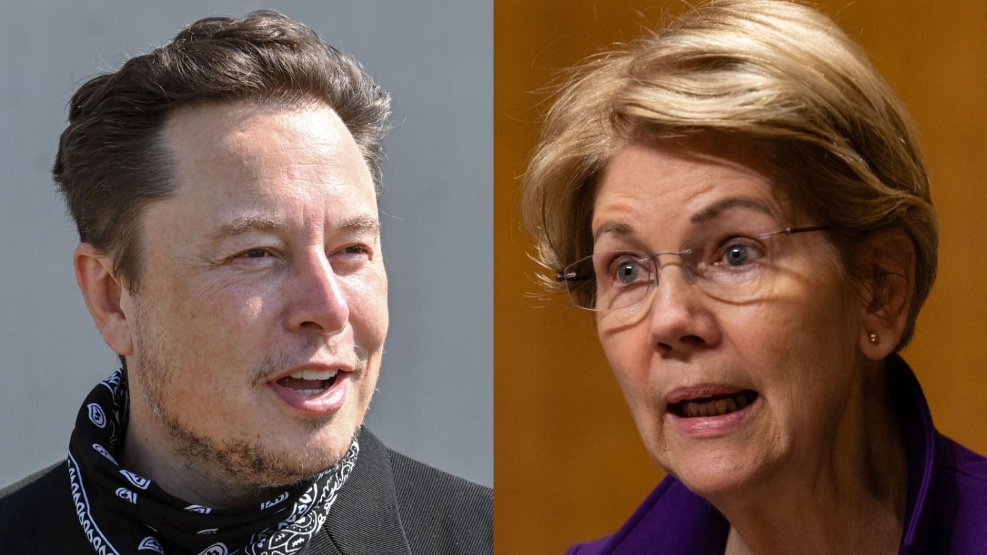Elon Musk and Elizabeth Warren recently engaged in a Twitter feud over the former&#039;s tax rate (Image via Patrick Pleul/Getty Images and Eric Lee/Getty Images)