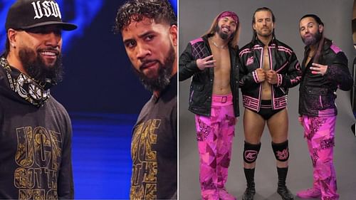 The Usos and the Young Bucks have had a stand-out 2021