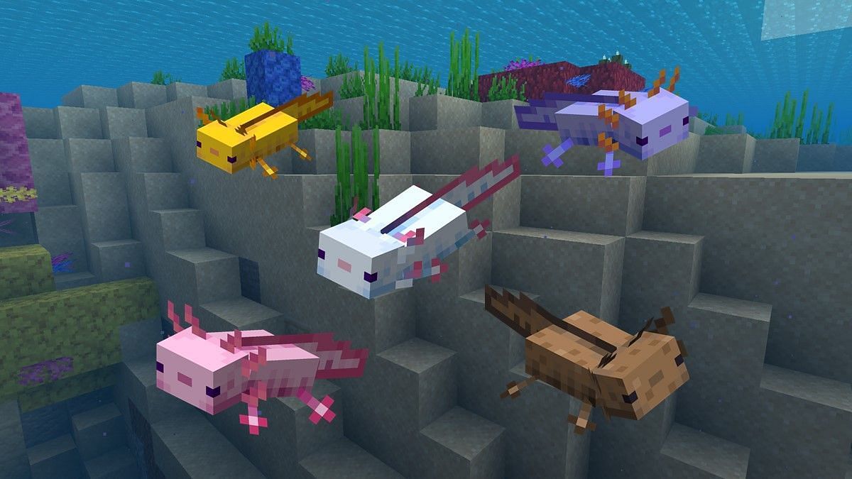 Axolotls have been one of the most welcome mob additions in recent memories (Image via Mojang)