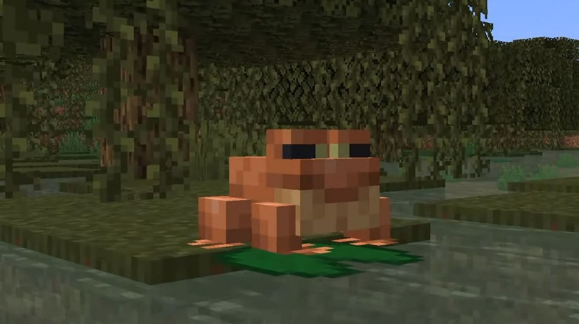 Frogs shown at live event (Image via Mojang)