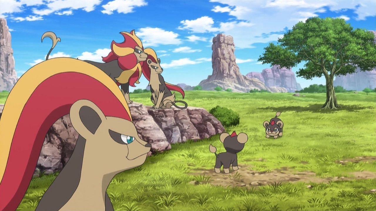 A group of Pyroar and Litleo as they appear in the anime (Image via The Pokemon Company)