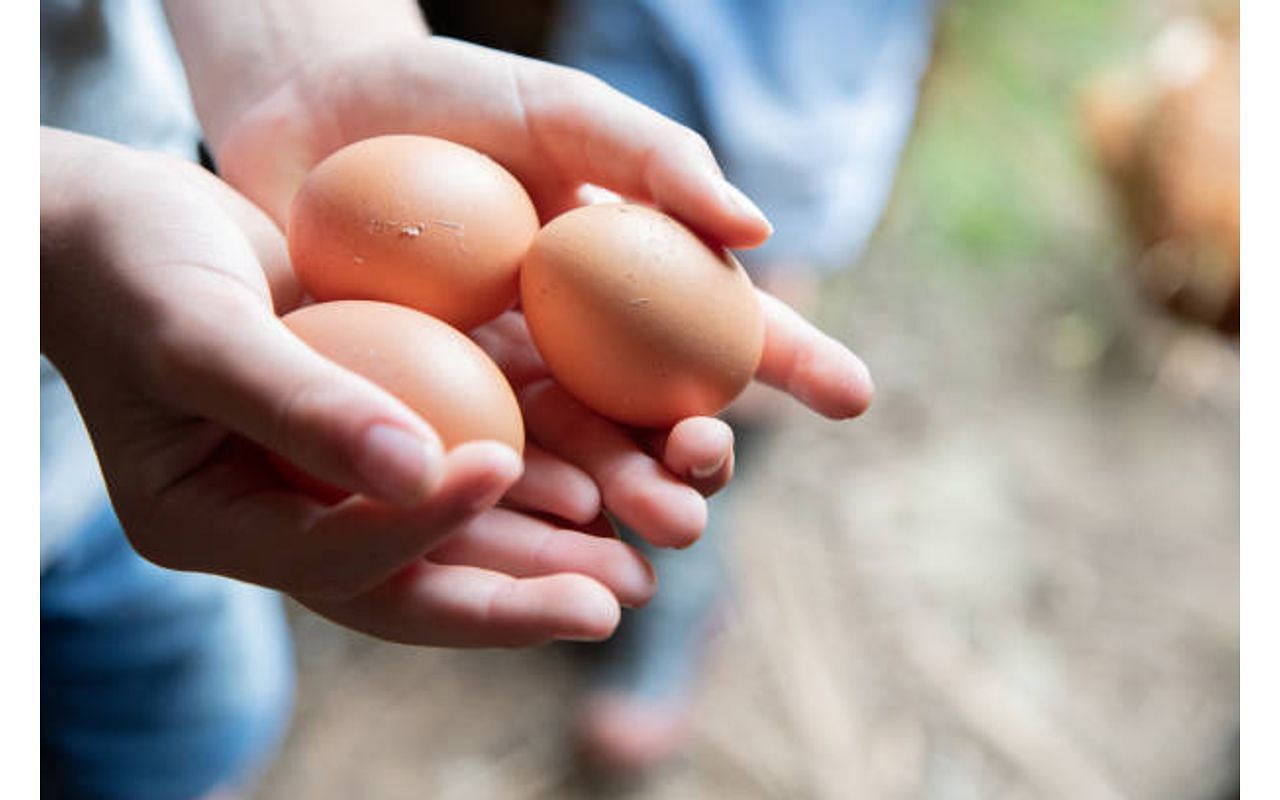 Raw egg peeling challenge is going viral on social media (Image via Getty)