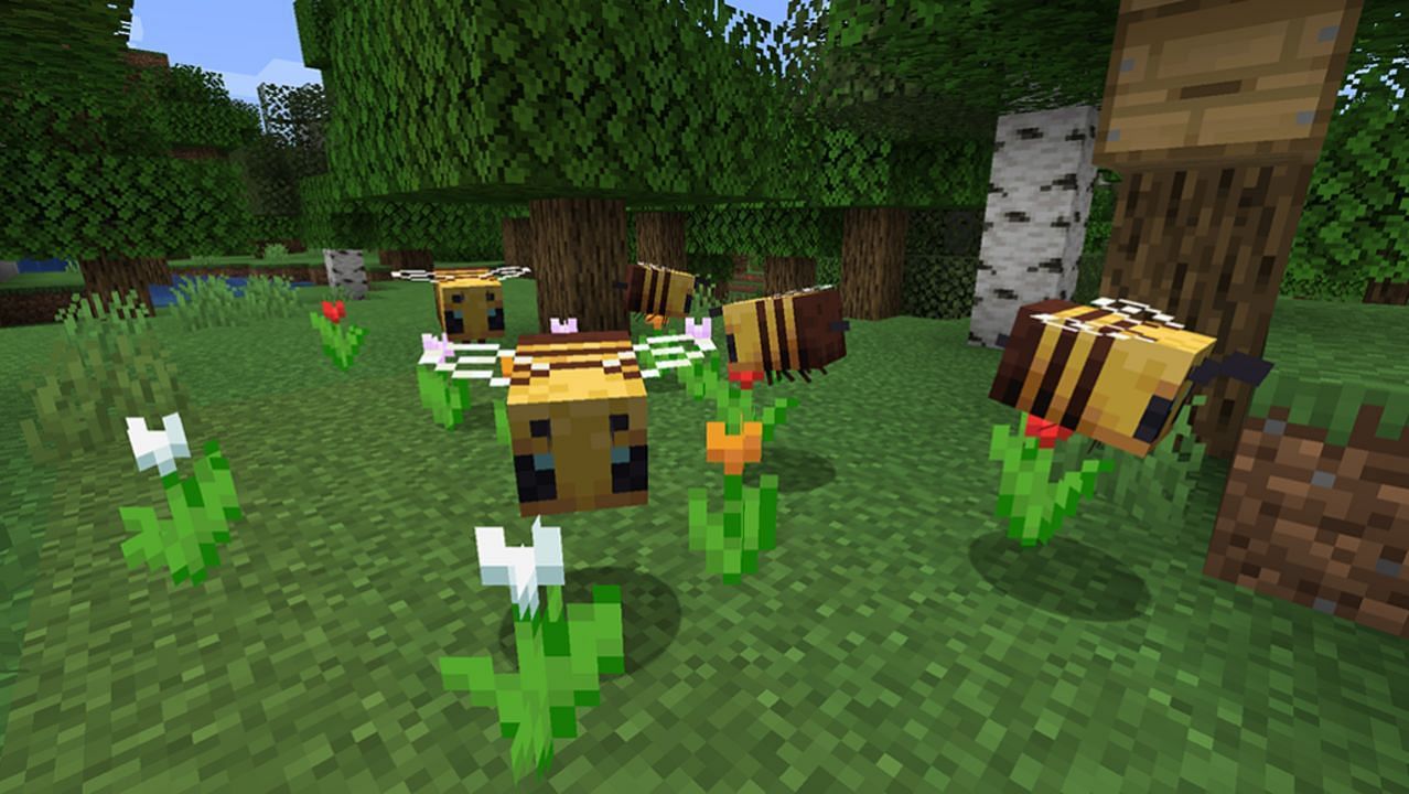 Though they can be relocated, bees are naturally found in Minecraft&#039;s forests (Image via Mojang)