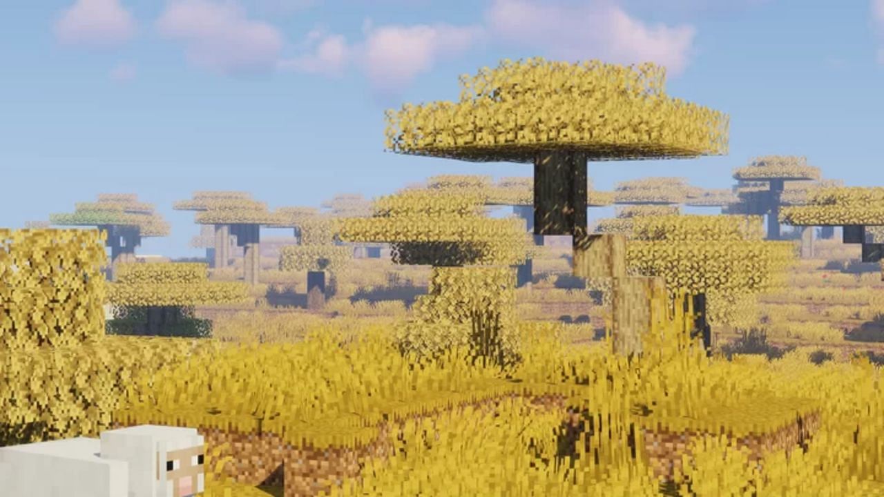 A savanna biome with new meranti trees (Image via Mojang)